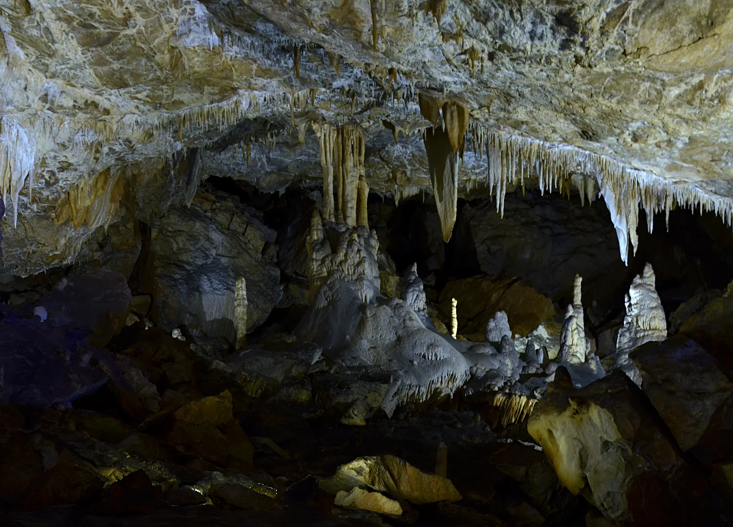Salle des Grandes Canalettes avec stalactites au plafond et stalagmites au sol